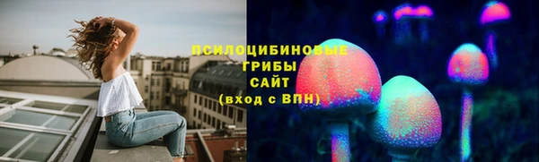 Альфа ПВП Новозыбков