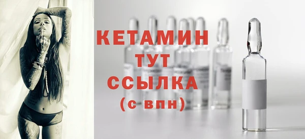 крисы Новодвинск