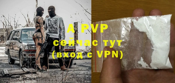 крисы Новодвинск