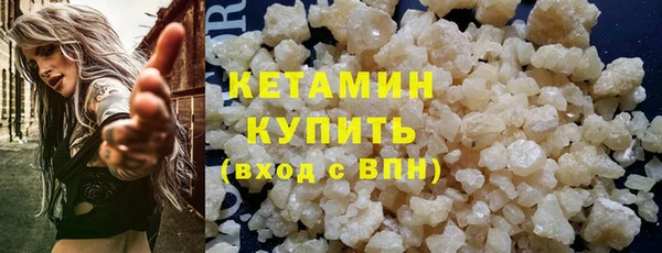 крисы Новодвинск