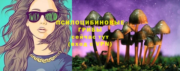 Альфа ПВП Новозыбков