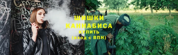Альфа ПВП Новозыбков