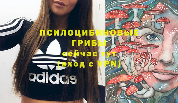 мяу мяу кристалл Нефтекумск