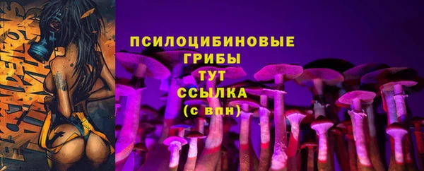 крисы Новодвинск