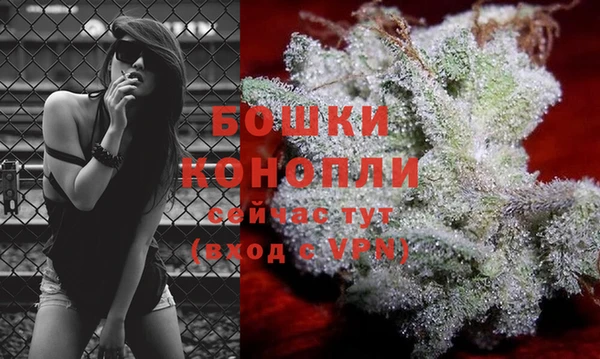крисы Новодвинск