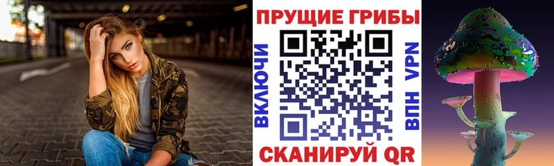как найти наркотики  Лермонтов  гидра зеркало  Галлюциногенные грибы MAGIC MUSHROOMS 