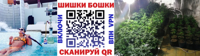 Бошки Шишки VHQ  гидра как зайти  Лермонтов 